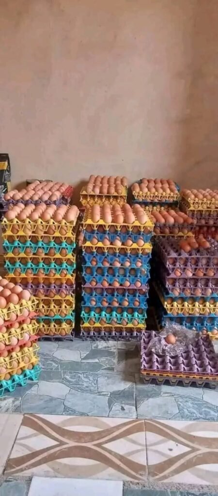 whatsapp image 2025 11 20 at 6.57.58 pm