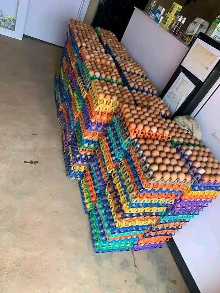 whatsapp image 2025 11 20 at 6.57.59 pm (1)