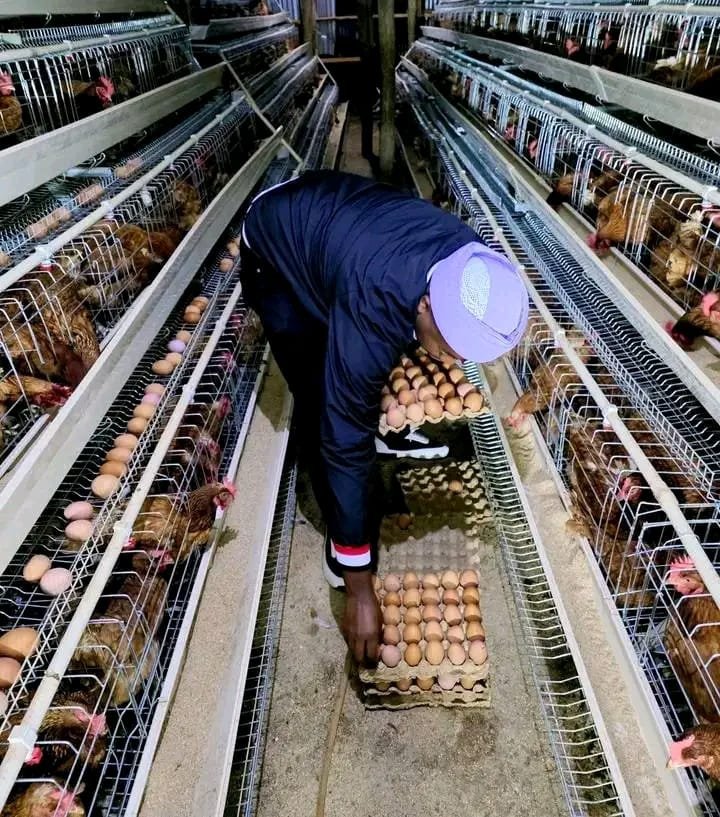 whatsapp image 2025 11 20 at 6.57.59 pm